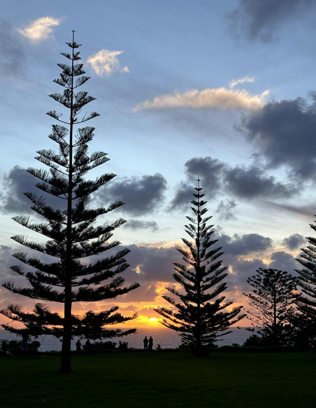 620 pixels placeholder image